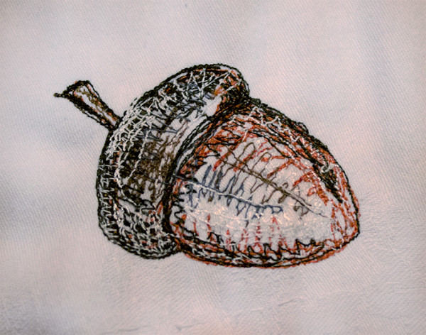 acorn embroid
